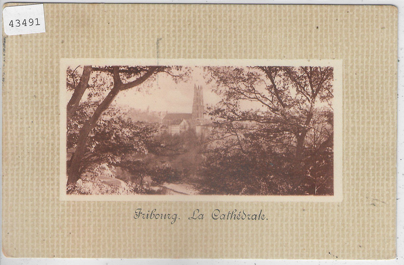 Cartoline postali: Fribourg - La Cathedrale – Usato da Ettingen venduto da Kartenplanet