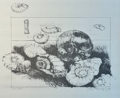 CASPARY Peter (1953) - Fichten Kreuzschnabel - Lithographie