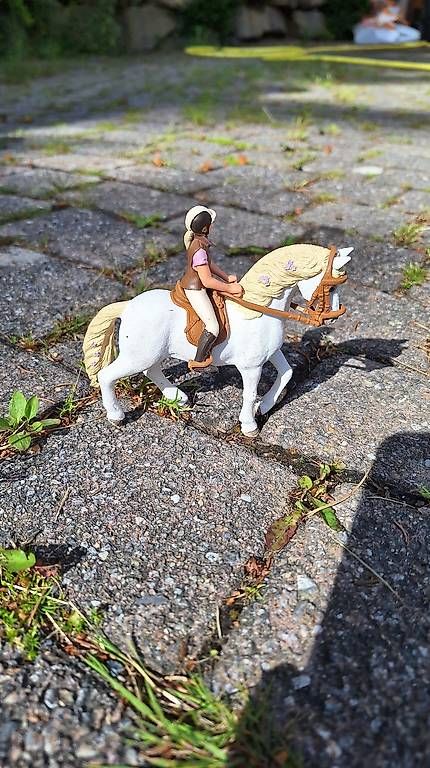 Giocattoli: Schleich Cowboyset mit diversem Zubehör – Usato da Rüti ZH venduto da la-93 2