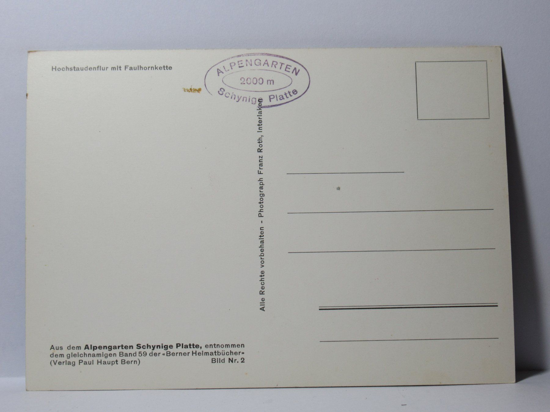 Cartoline postali: Alpengarten , Schynige Platte – Nuovo (secondo la descrizione) da Grenchen venduto da Bluemchen1900 1