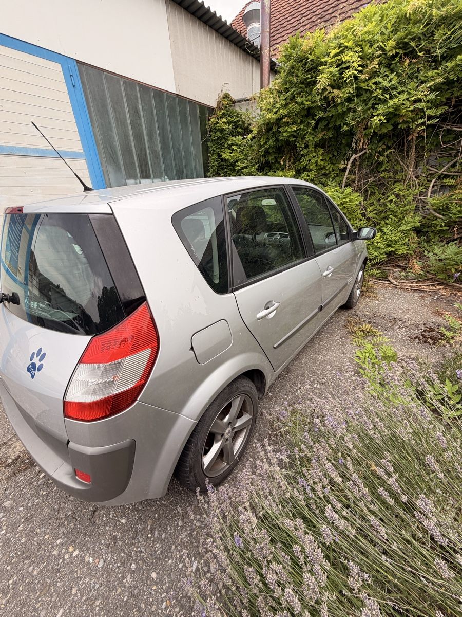 Renault Automobili: Renault Mégane Scénic  – Usato da Arch venduto da Saegi120 3