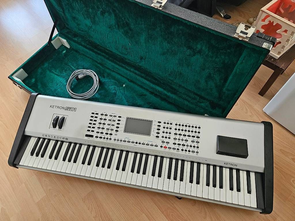 Strumenti musicali: Solton SD1 mit Koffer – Usato da Egerkingen venduto da pen_n7zc