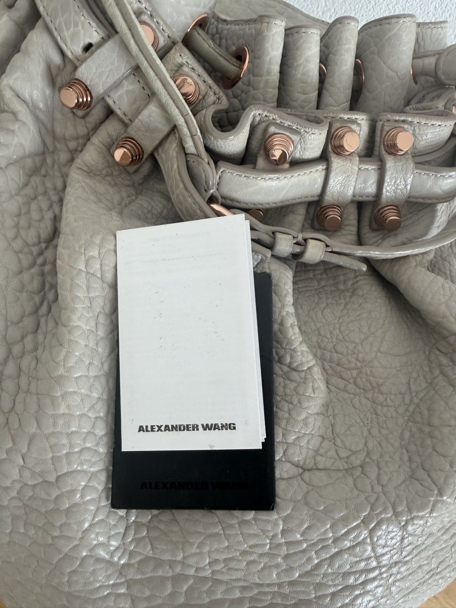 Alexander Wang Borse: Alexander Wang bag – Usato da Granges-Paccot venduto da Hyrenne 3