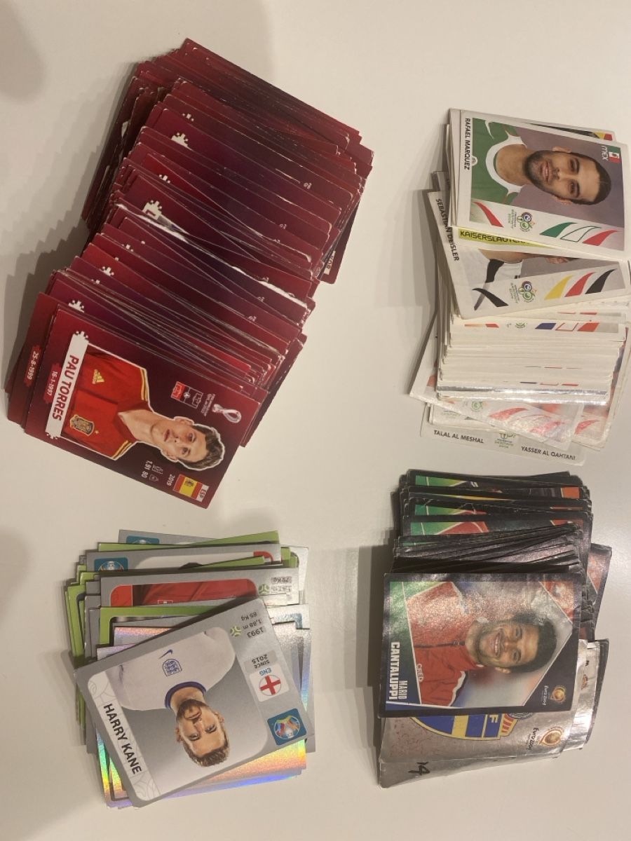 Panini Cartes à collectionner: Panini stickers 2004-2022 – D'occasion à Uster par oik_5k2y 1