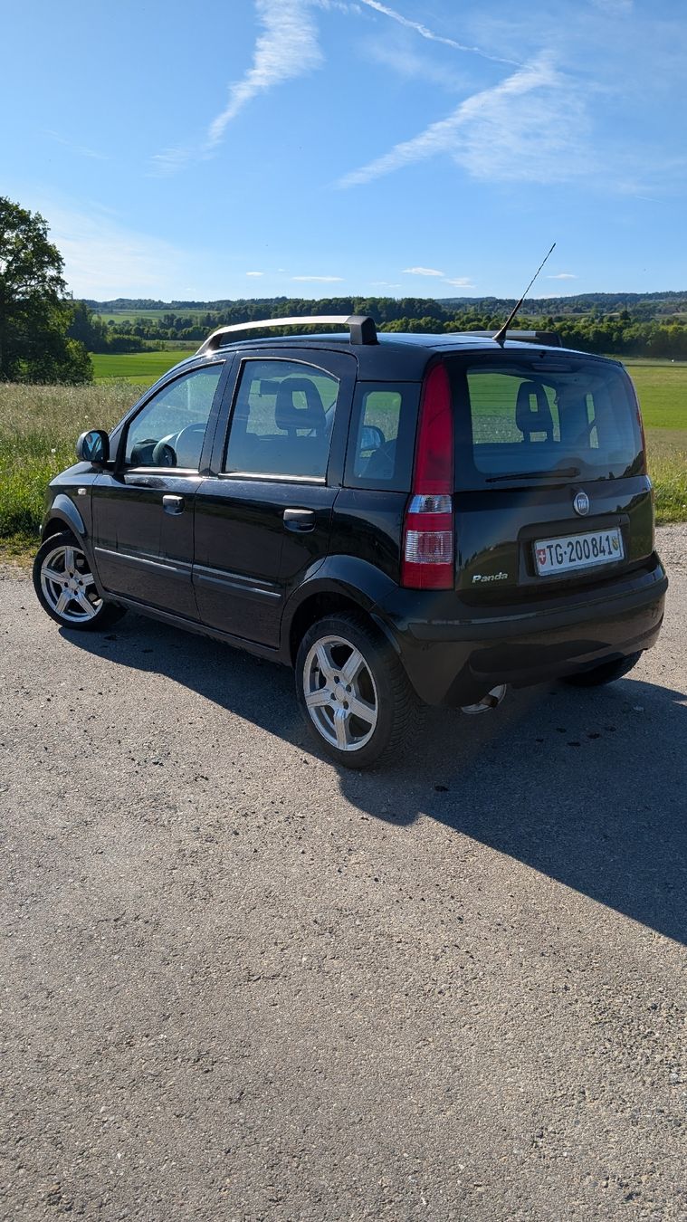 Fiat Automobili: Fiat Panda Kleinwagen – Usato da Wagerswil venduto da AlecRobin 3