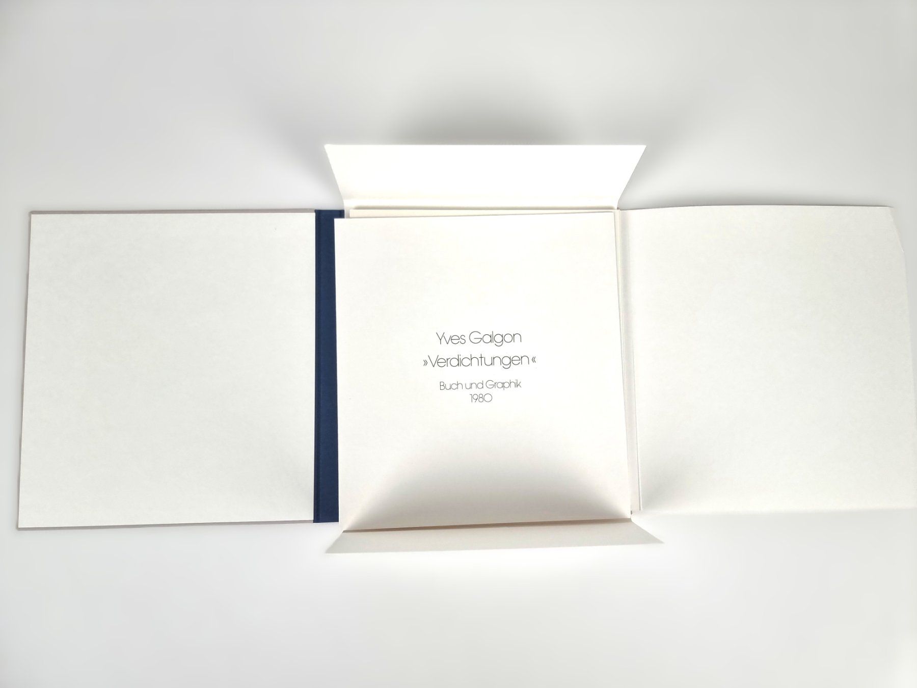 Libri: Buch "Verdichtungen" – Usato da Urtenen-Schönbühl venduto da Restwert_Schoenbuehl 2