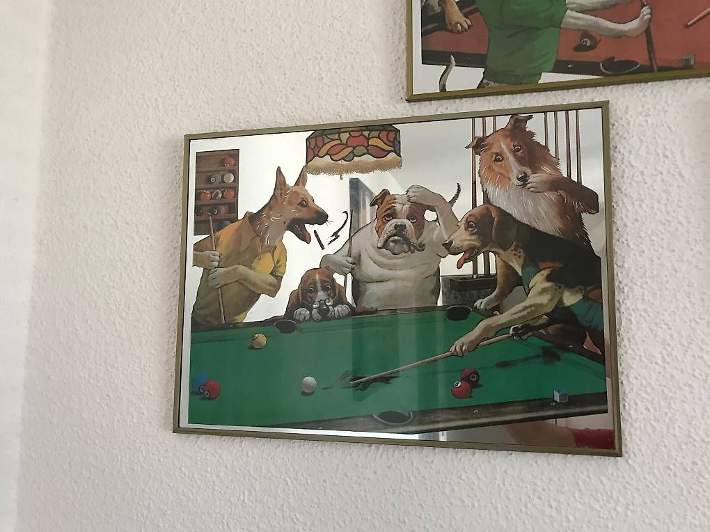 Miroirs: Miroirs - chiens jouant au billard – D'occasion à Sion par hoo_pm95 1
