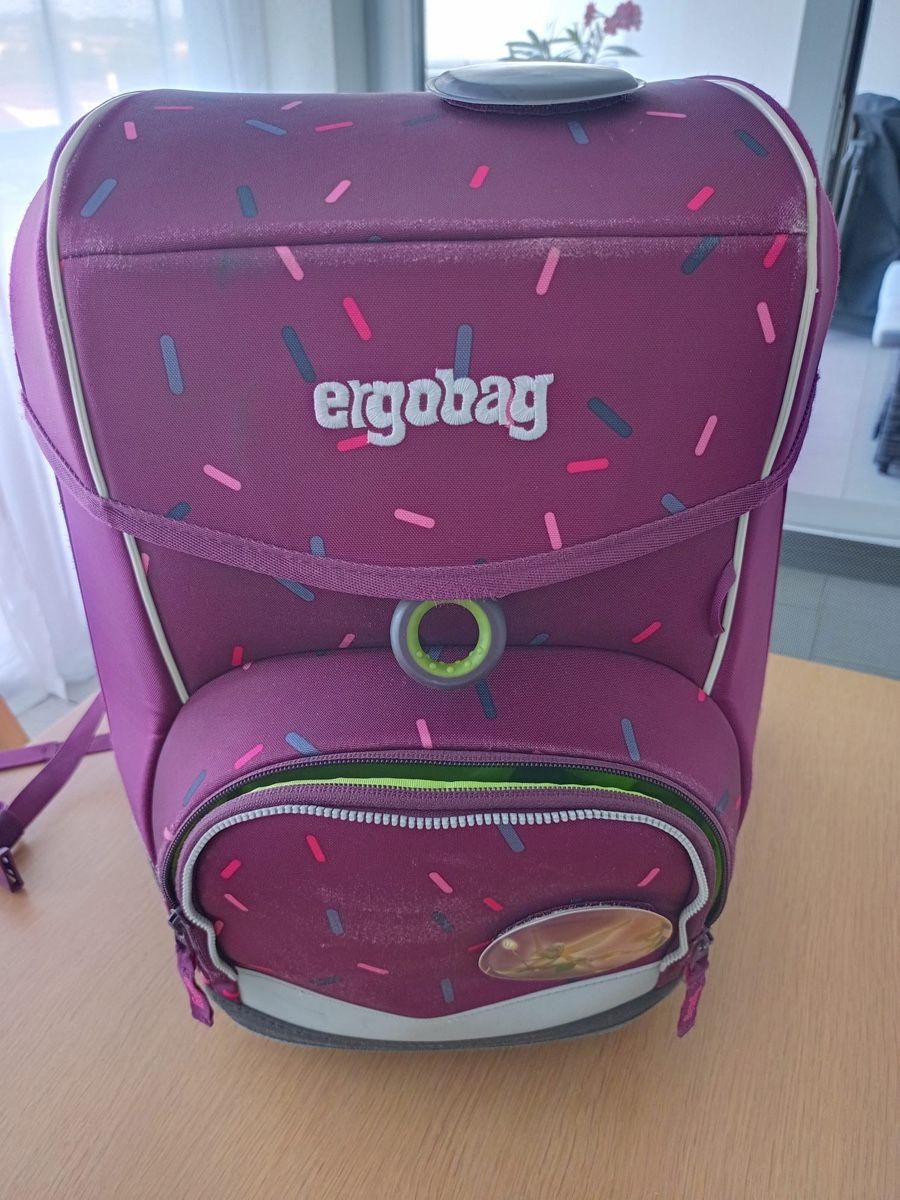 Ergobag Borse & Zaini: Ergobag Schulrucksack sowie Turnbeutel – Usato da Muttenz venduto da Pippo187 1