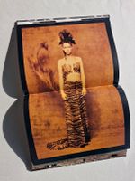 Dolce & Gabbana Animal Buch von Steven Meisel Top! Erotik