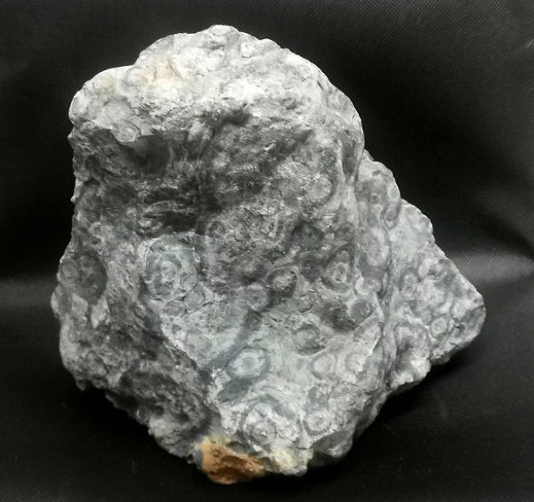 Minerali & Pietre curative: Kambaba Jaspis Rohstein – Nuovo (secondo la descrizione) da Walenstadt venduto da vkt_qc8d 1