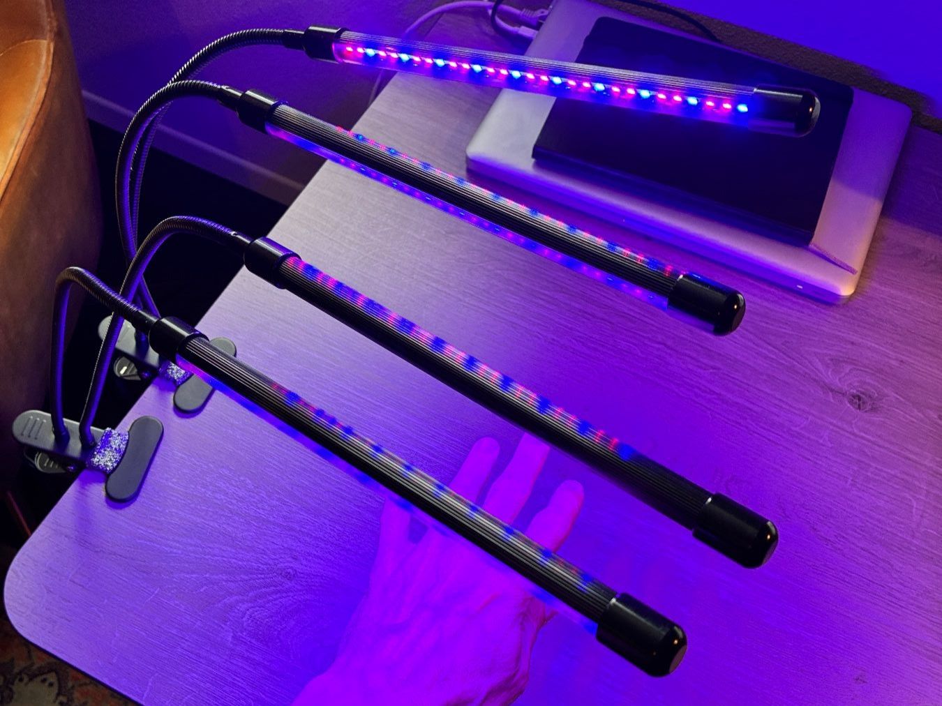 Lampen: 2x Xavax LED-Pflanzenleuchte "Stick" – Gebraucht aus Wohlen AG von Airson_a_reic 5