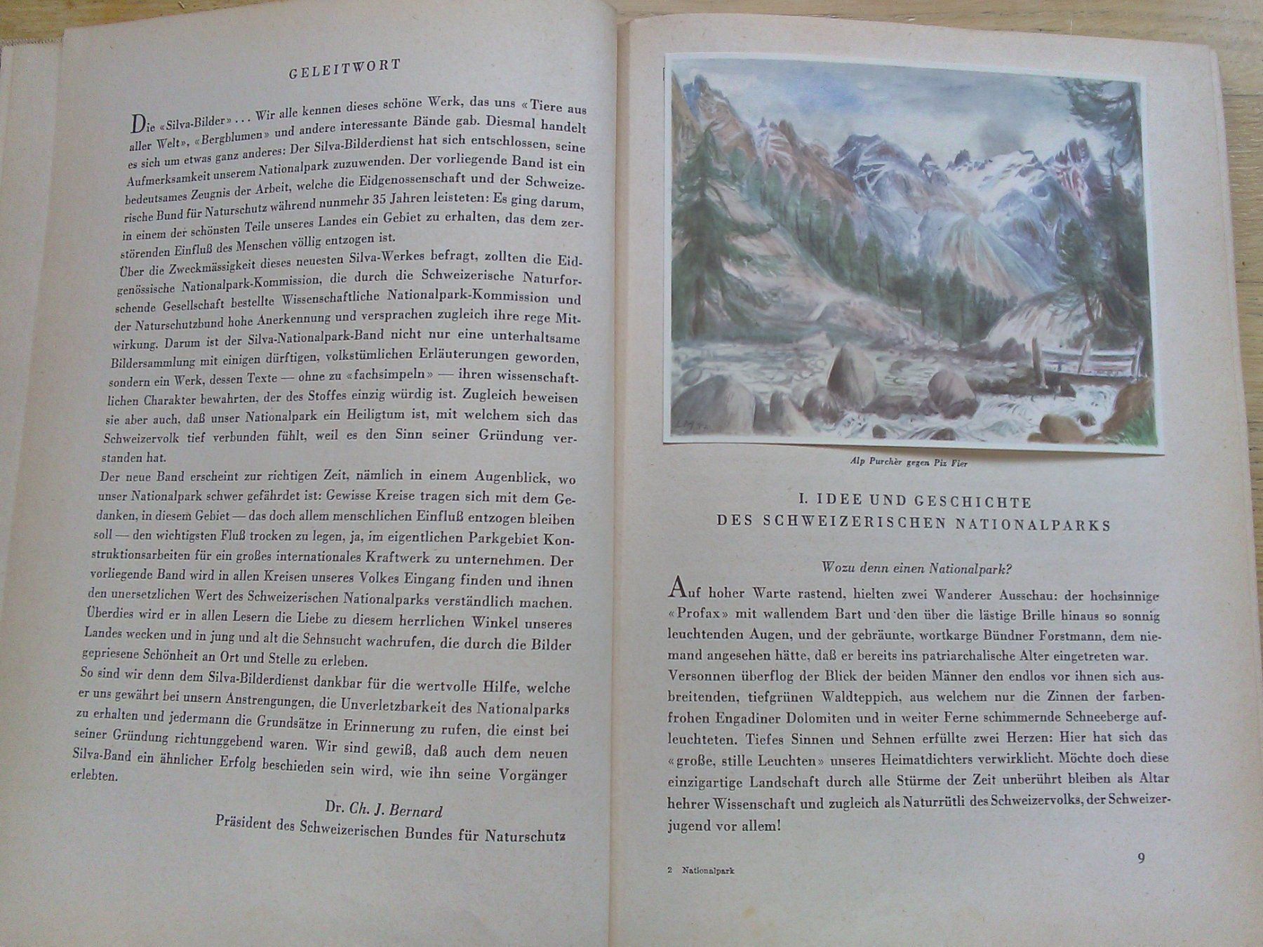 Libri: Der Schweizerische Nationslpark (1949) – Usato da St. Gallen venduto da elkapone 5
