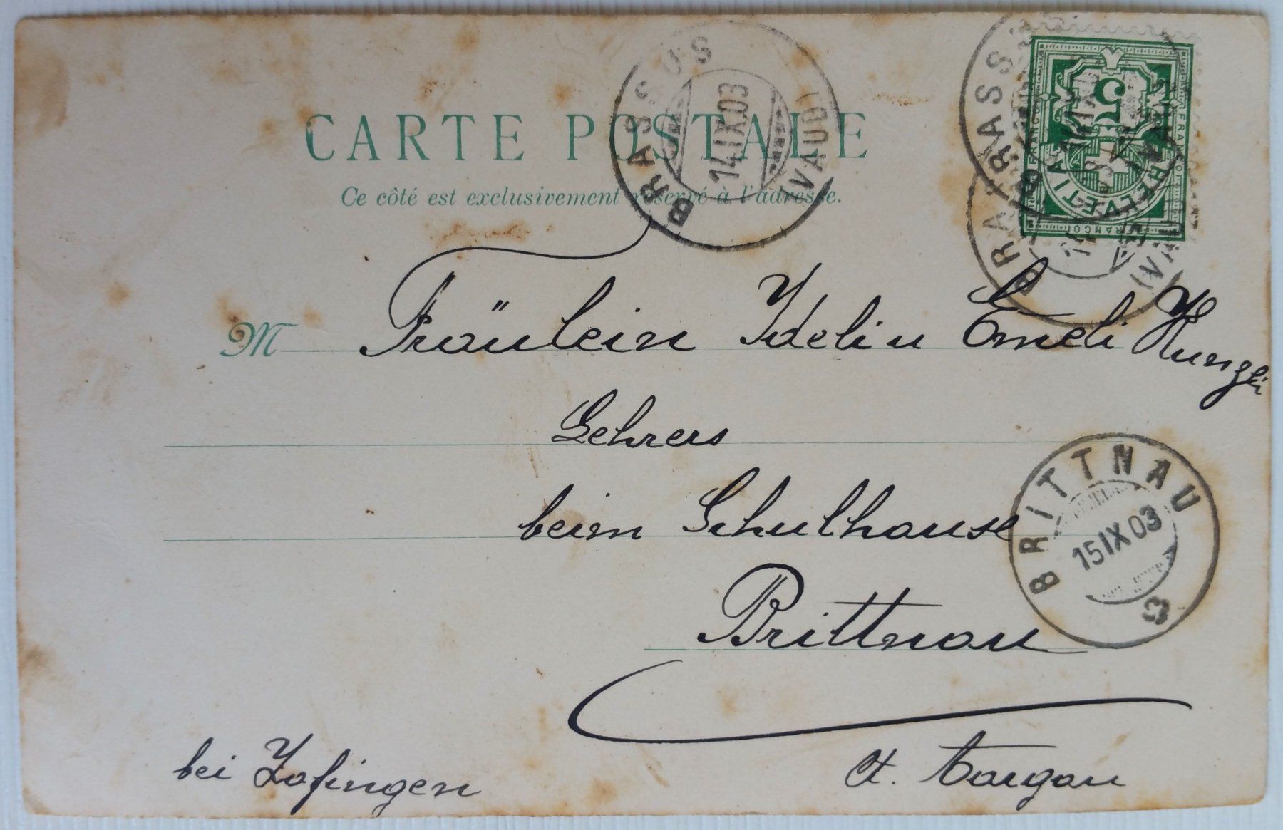 Ansichtskarten: AK von 1903: Katzen im Korb – Gebraucht aus Oberriet SG von ganesh435 1