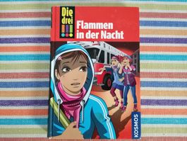 Die drei !!! Kids💥🌞 Flammen in der Nacht - sehr rar