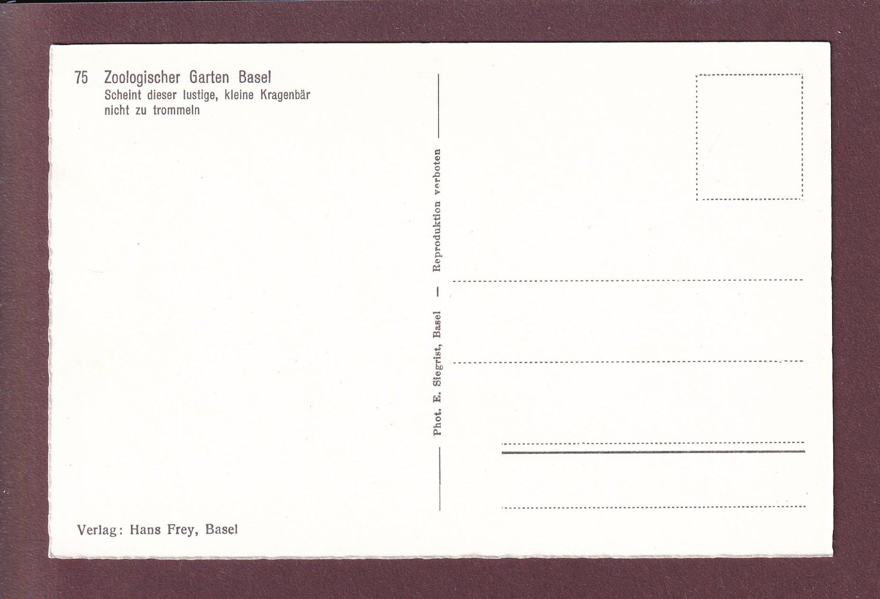 Cartoline postali: BASEL - Zoologischer Garten - Kragenbär – Usato da Pully venduto da nicecards 1