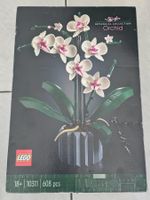 LEGO Botanicals Orchidee 10311 Set neu in Originalverpackung