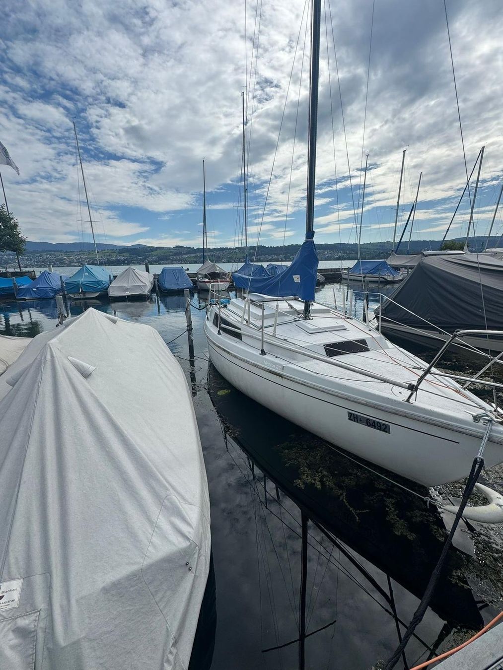 Neptun Barche: Segelboot Neptun 22 – Usato da Uetikon am See venduto da Aldo_Hug13 5