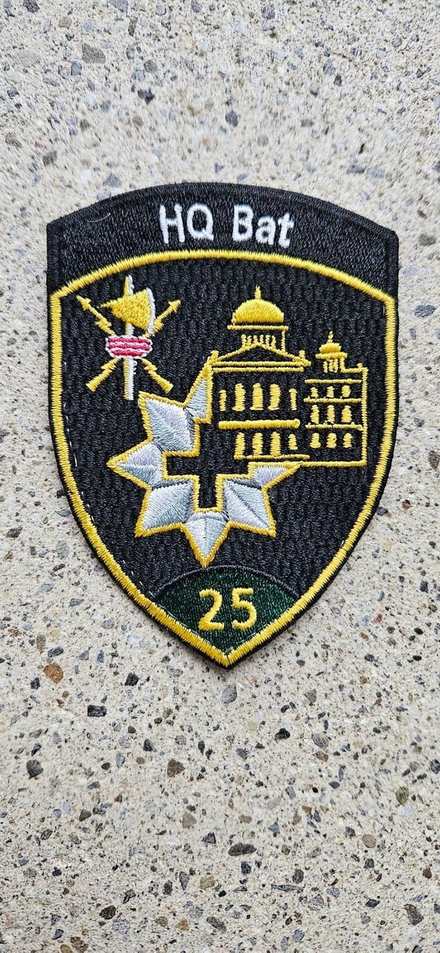 Schweizer Armee Placchette & Badge:  *** Badge HQ Bat ohne Klett ***  – Nuovo e nell'imballaggio originale da Riedholz venduto da fr_sIruP
