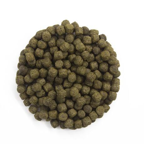 Mangimi: Koifutter  10kg Akita  - 6 mm Pellets – Nuovo e nell'imballaggio originale da Brittnau venduto da Pebelalm 1
