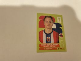 FIFA WM 2026 Andreas Schjelderup NOR 12