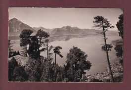 BEATENBERG - Waldbrand - 1946
