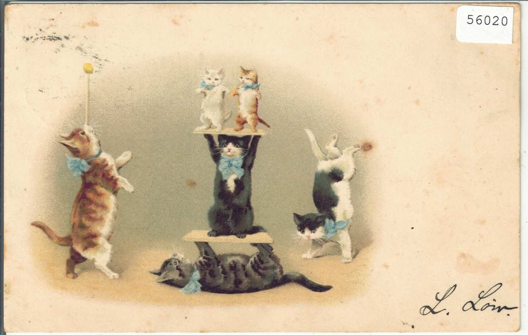 Ansichtskarten: Katzen-Zirkus - Litho – Gebraucht aus Ettingen von Kartenplanet
