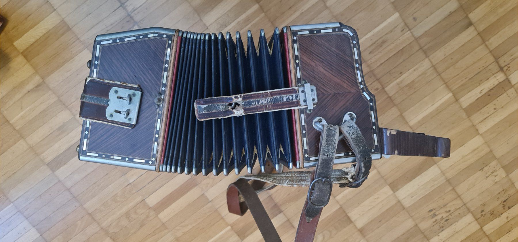 Strumenti musicali: Akkordeon Stradella – Usato da Unterentfelden venduto da Felco 1