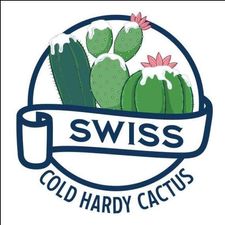 Profile image of Cold_cactus