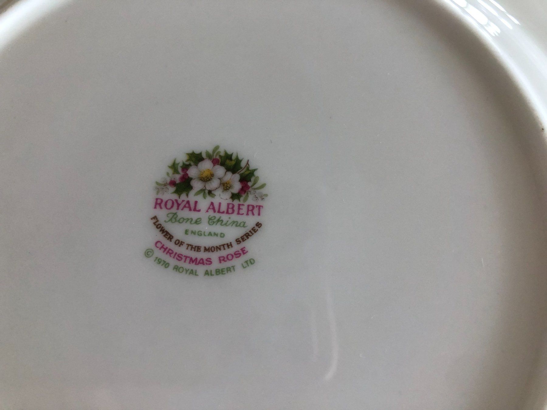 Royal Albert Set di piatti: Royal Albert Set Tasse und Teller neu – Nuovo e nell'imballaggio originale da Eich venduto da Jokove63 2