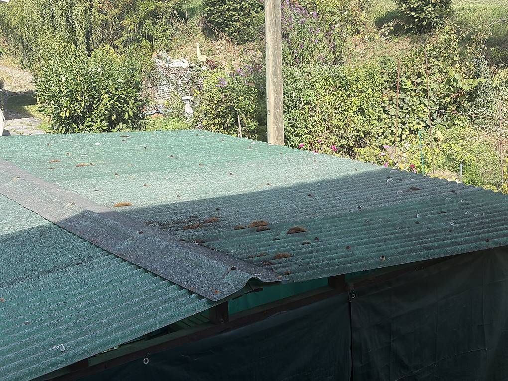 Servierplatten: 10 Stk. Welldachplatten (Kunststoff) – Gebraucht aus Wangen ZH von Ssunbeam