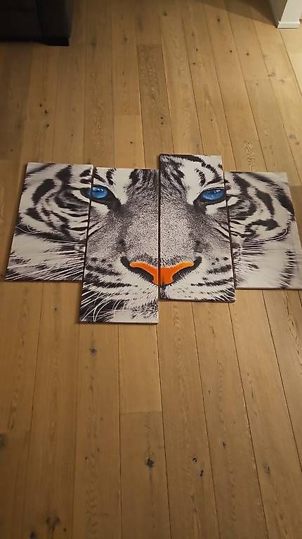Posters & Illustrations: Tiger Canvas Bild – D'occasion à Aesch par keepgoing10