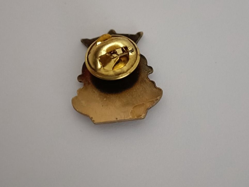 Placchette & Badge: Pin Beaune - Box 30 – Usato da Köniz venduto da Pinscollect 1