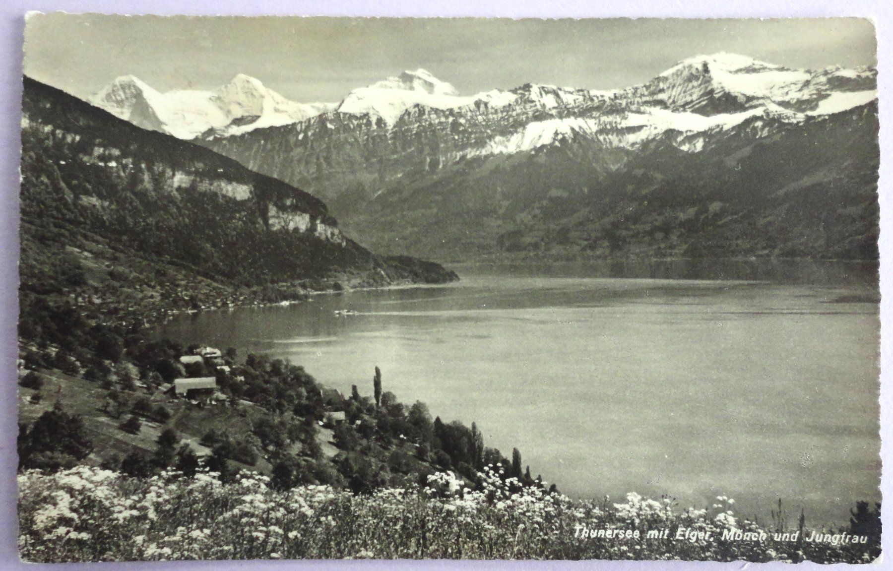 Cartoline postali: Thunersee mit Eiger, Mönch und Jungfrau – Difettoso da Fétigny venduto da Billy2miny
