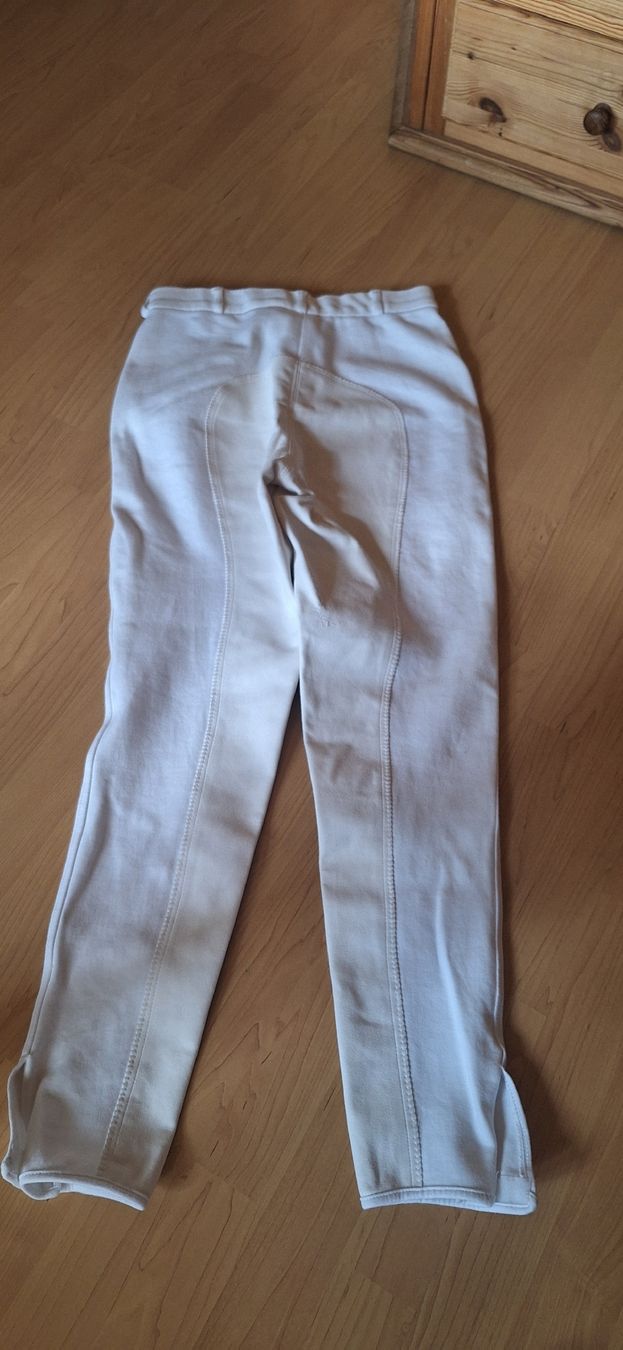 Hosen: USG Tunierreithose – Gebraucht aus Zweisimmen von chr_2cck