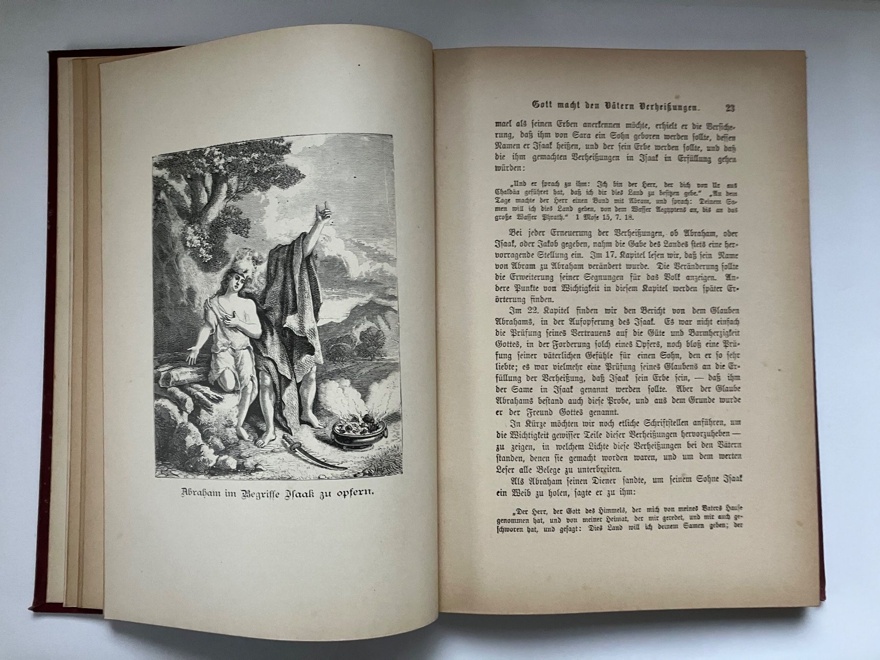 Libri: Vom Paradies zum Paradies Ein bibl. u. proph. Versuch – Usato da ZUERICH venduto da Carolus1 3