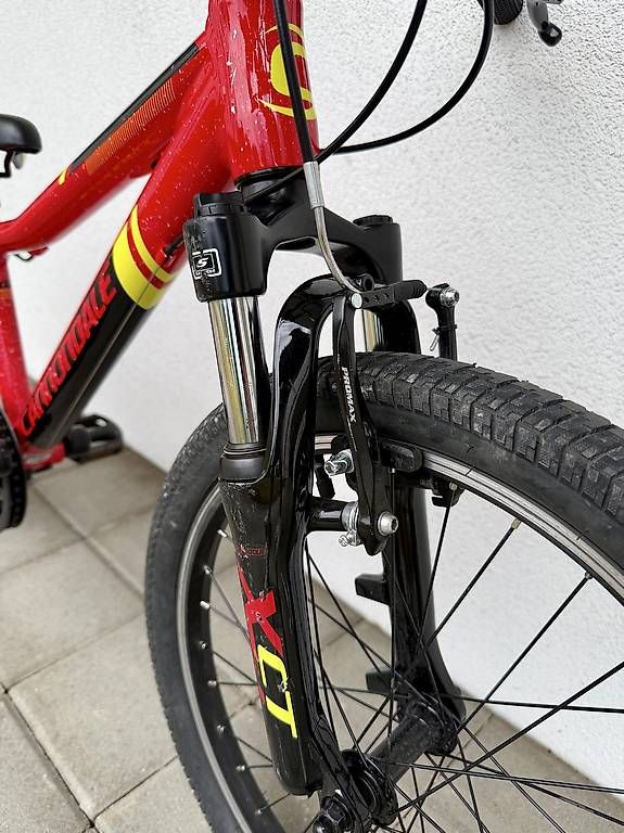 Biciclette: Mountainbike – Usato da Muri AG venduto da cag733 2