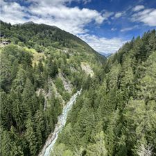 Profile image of Pligi