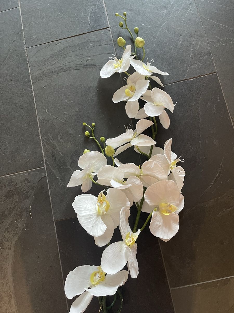 Piante & sementi: Künstliche Orchidee in Weiss / Creme – Usato da Bassersdorf venduto da Sandy456 2
