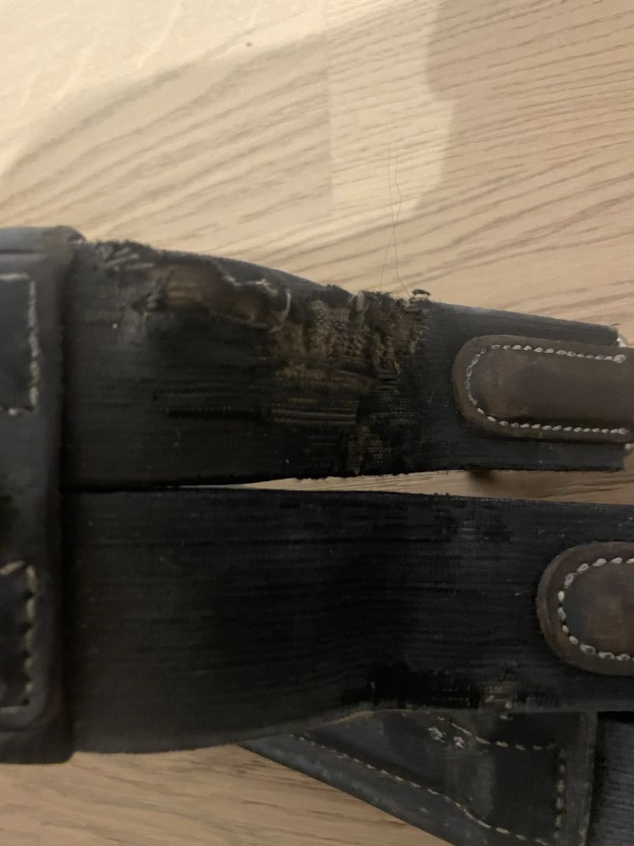 Selle & Accessori: Stollenschutzgurt – Usato da Sargans venduto da Didis 3