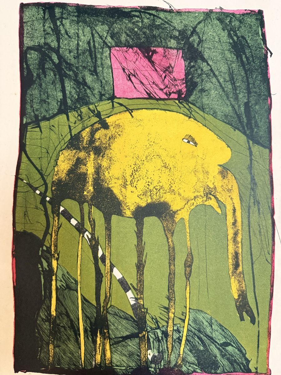 Grafica & Litografie: Christa Pyroth 1968 - Lithographie – Usato da Solothurn venduto da NUVICO 2