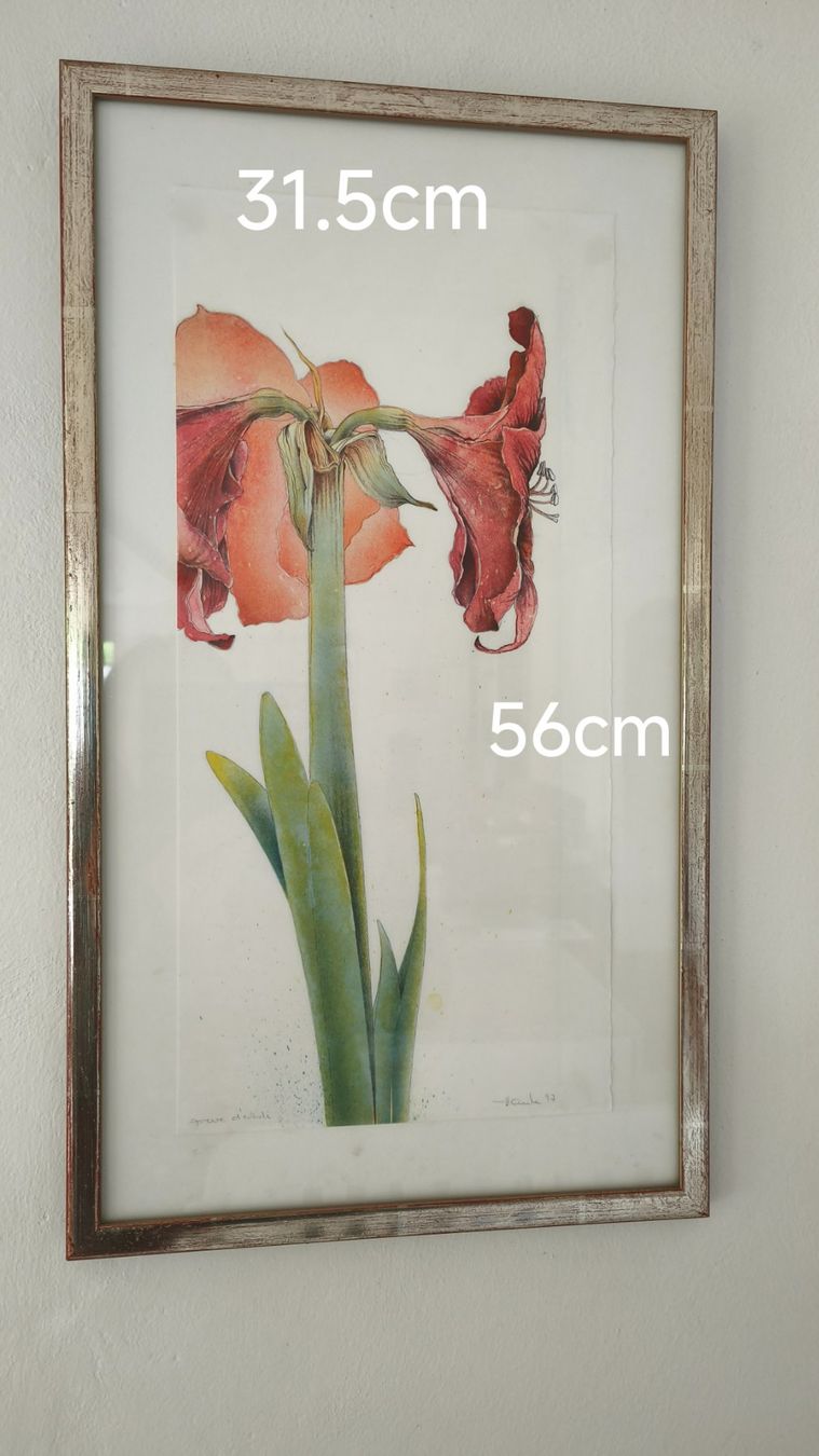 Posters & Illustrations: Bild Blume mit Rahmen – D'occasion à Thun par kisc93