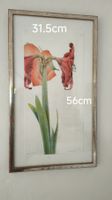 Bild Hanke Blume mit Rahmen