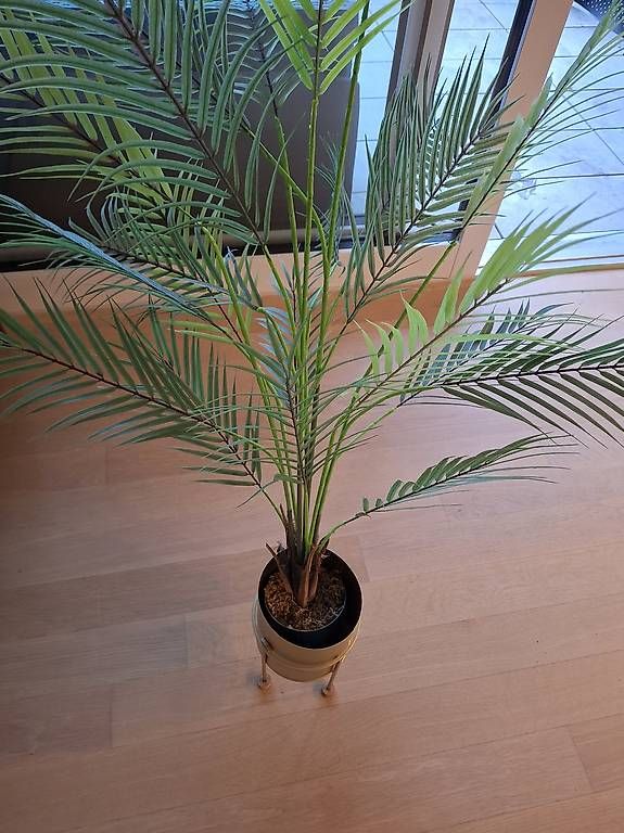 Vasi per fiori: Planz fake – Usato da Zürich venduto da MatShopping 1