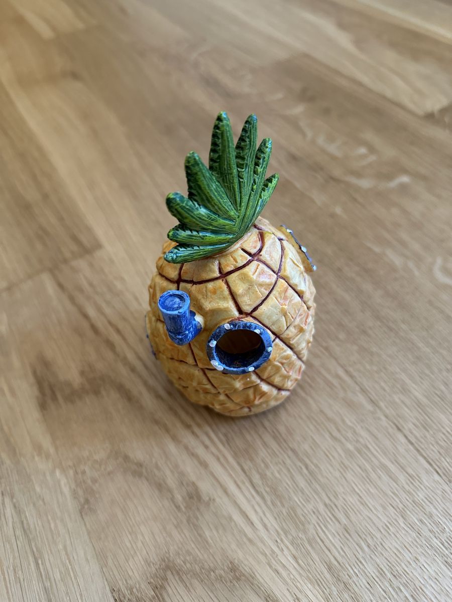 Tutte le decorazioni: Aquarium Dekoration Spongebob – Usato da Luzern venduto da ariazalea 1