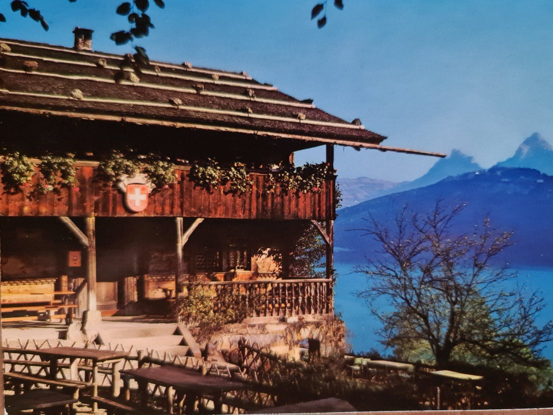 Cartoline postali: Ansichtskarte Rütlihaus mit Mythen 1982 – Usato da Dintikon venduto da Vexi