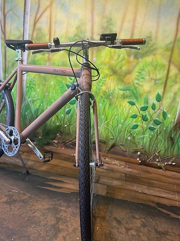 Velos: OLEYVO E-Bike – Gebraucht aus Rüti ZH von wetzikon59 4