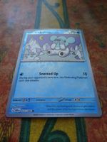 POKEMON  Cubchoo   I  BLK EN  025/086   HP70   2025