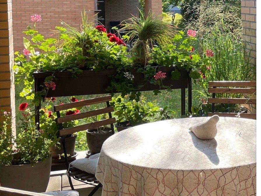 Fermob Vasi per fiori: Fermob Terrazza Blumenkasten – Usato da Niedergösgen venduto da sim_v2bq
