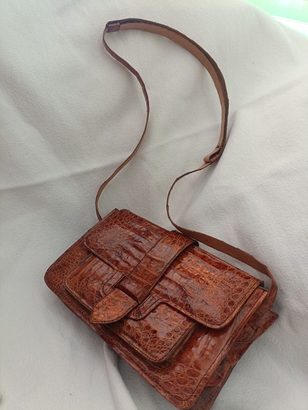 Altro in  Abbigliamento & Accessori: Borsa vintage in coccodrillo marrone – Nuovo e nell'imballaggio originale da Lugano venduto da riccardo012