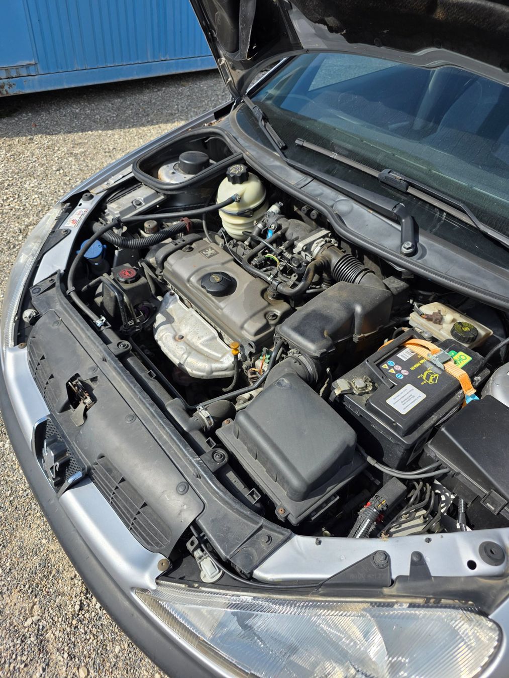 Peugeot Automobili: Peugeot 206 1.6i – Usato da Grandfontaine venduto da ram_8jhg 5